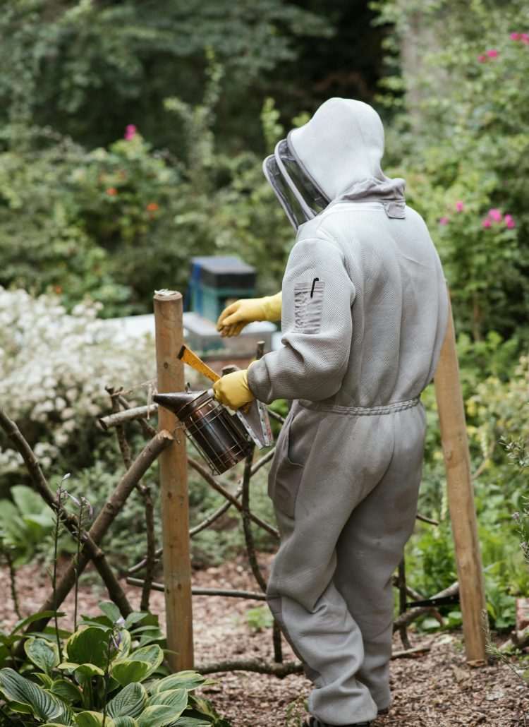 How to Choose the Right Beekeeping Suit