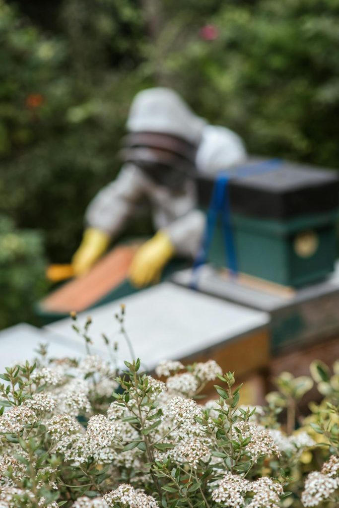 Beekeeping Glossary: Essential Terms Every Beginner Should Know