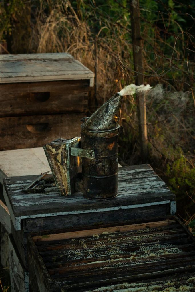 Beekeeping Starter Kits: What Every Beginner Needs to Get Started