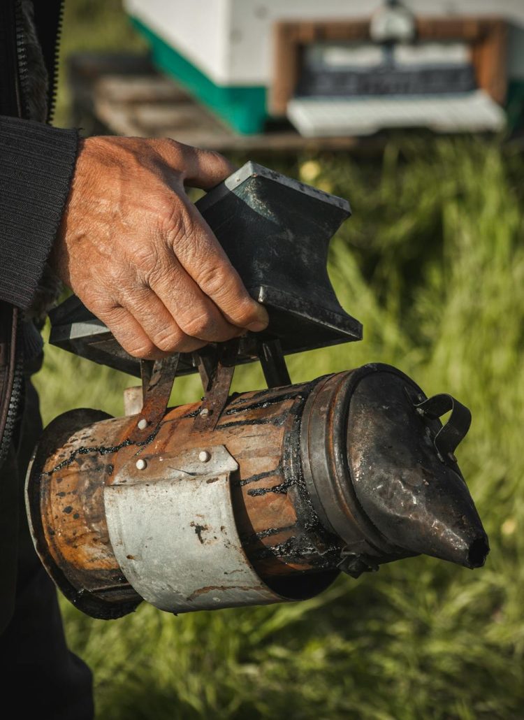 How to Light and Maintain a Beekeeping Smoker for Best Results