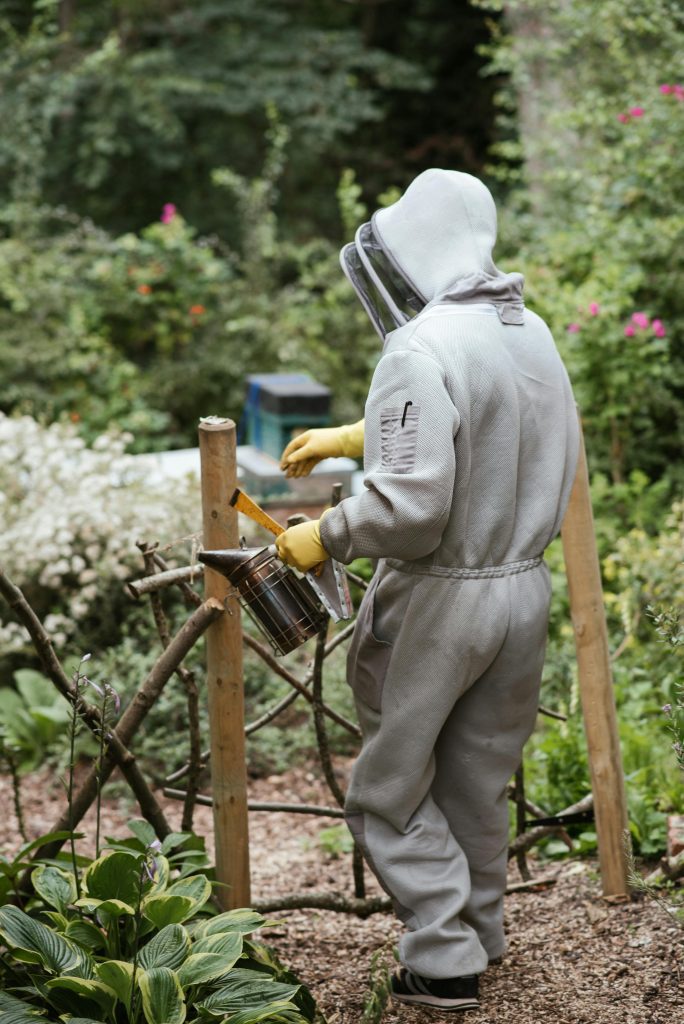 How to Choose the Right Beekeeping Suit